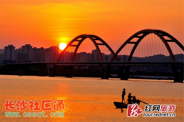 潭W(wng)ѡϡRz